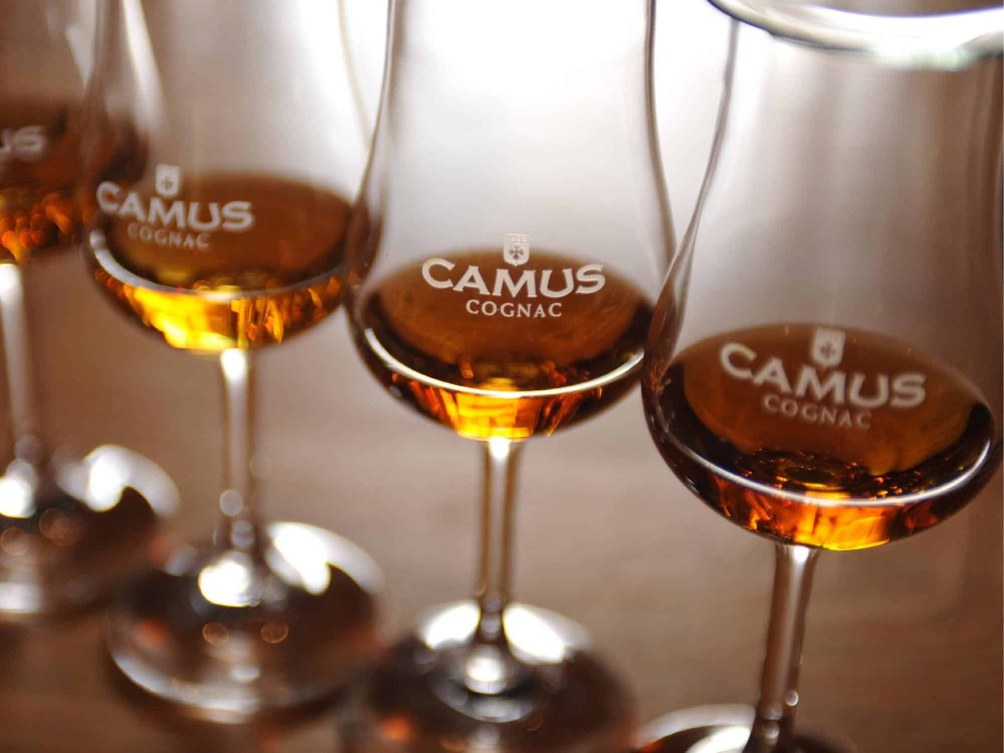 produktkategorie cognac armagnac brandy teaser 400x700px