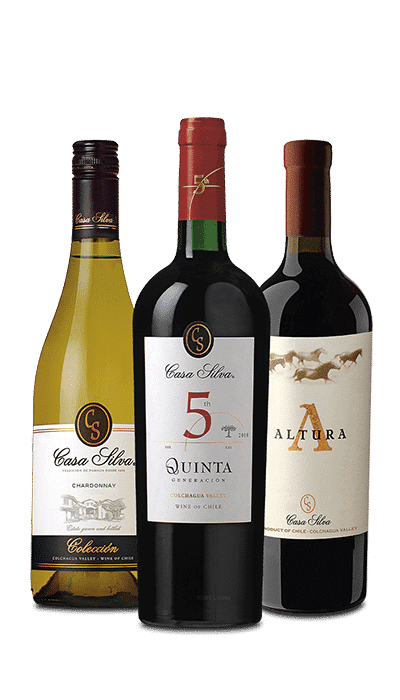 Kategorie Gruppenbild Weine Chile